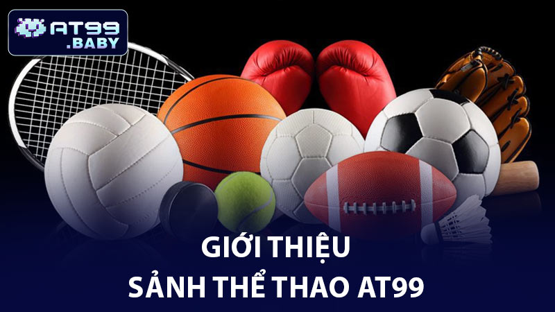 Giới thiệu khái quát sảnh thể thao AT99