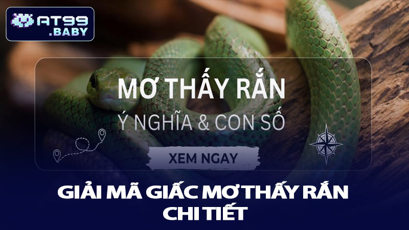Giải mã giấc mơ thấy rắn chi tiết và dễ dàng nhận biết
